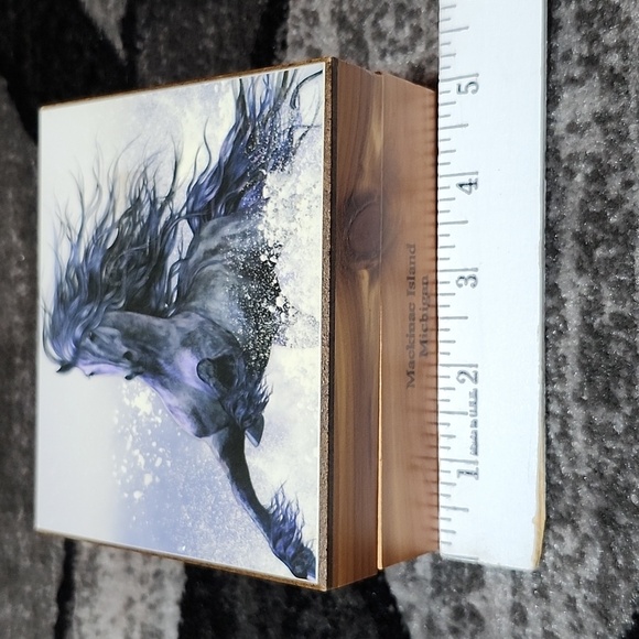 VINTAGE WINTER THUNDER HORSE MACKINAC ISLAND MICHIGAN CEDAR DECOR KEEPSAKE BOX - Picture 10 of 15